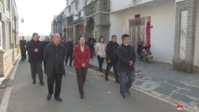 邓小菲带队赴武汉市新洲区考察学习乡村振兴工作