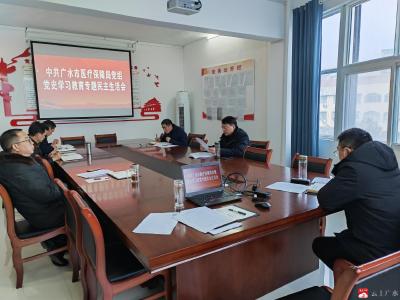 市医保局召开党史学习教育专题民主生活会