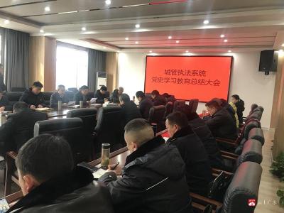 市城管执法局召开党史学习教育总结大会和节前工作推进会