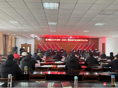 蔡河镇召开2021年度村（社区）党组织书记述职评议大会