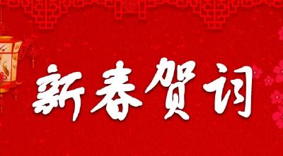 市人民政府市长崔传金发表新春贺词