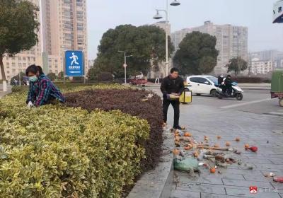 广水园林工人清理绿化带垃圾 改善绿化环境