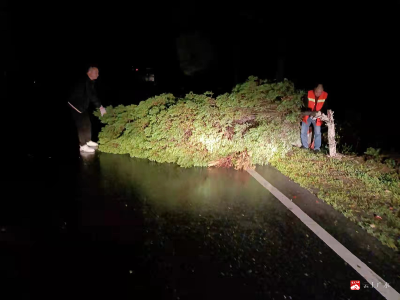 昨夜暴雨  市交通运输局连夜抢修保道路畅通