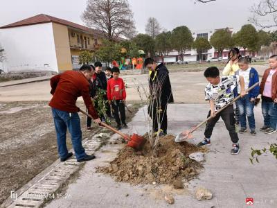 武胜关镇南新中心小学开展“人人动手、奉献绿色”植树活动