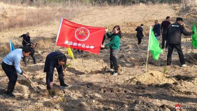 关庙镇中心中学开展义务植树活动