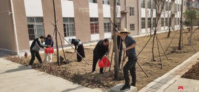 杨寨镇中心小学开展绿色校园活动