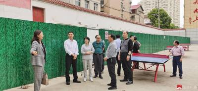 市领导协调育才路改造工程