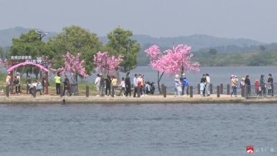 【约•广水】广水：五一假期“山水休闲游”、“生态观光游”火爆