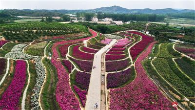 【约·广水】文旅部推荐全国乡村旅游精品线路，广水美丽乡村上榜