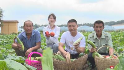 【越·广水】“电商平台+农业基地”齐发力  主城“菜篮子”有保障