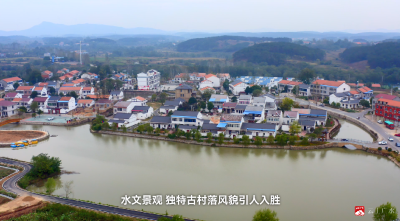 【“一镇一品”故事汇】巨龙飞腾 引“李”前行
