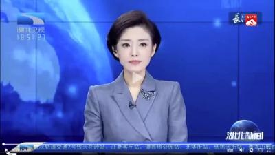 【湖北卫视播出随州实践活动新闻】随县：“包袱”变财富 企业闲置资产动起来