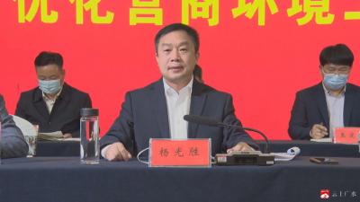 【越·广水】杨光胜要求：奋力打造全省一流营商环境