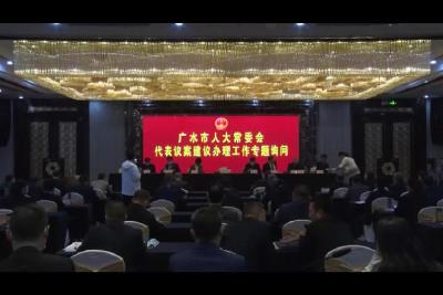 广水市人大常委会代表议案建议办理工作专题询问
