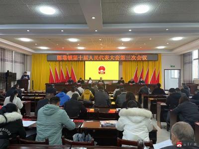 陈巷镇第十届人民代表大会第三次会议顺利召开