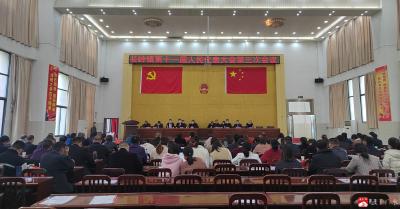 长岭镇第十一届人民代表大会第三次会议顺利召开