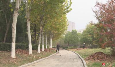 【悦·广水】广水：落叶纷飞季  园林工人为城市“梳妆”