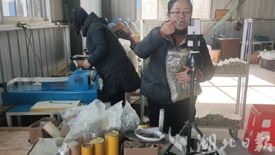 【新春走基层】广水一家三口齐上阵 中药材配出“致富良方”