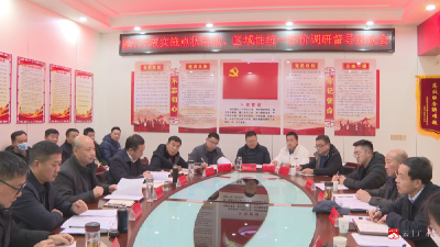 【越·广水】省自然资源厅调研组到我市调研督导点状供地项目实施工作