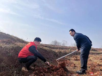 百人共植青年林     “鲁班青年”在行动