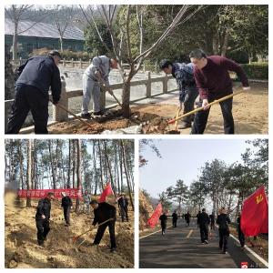 参与义务植树    弘扬雷锋精神