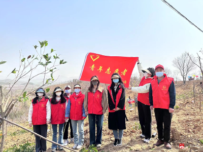 蔡河镇开展义务植树志愿服务活动