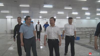 【越·广水】海大集团、华中农大考察团到广水考察农业产业项目