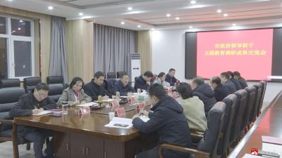 【越·广水】市政府领导班子主题教育调研成果交流会召开