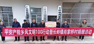 平安财产保险股份有限公司“乡风文明100行动”走进长岭镇肖家桥村