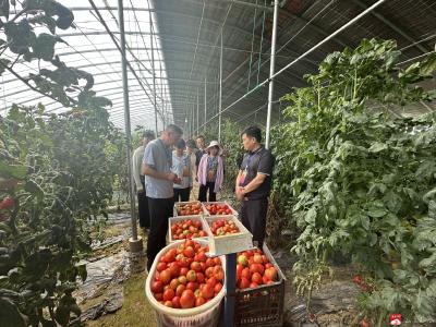 交流学习拓思路 代表履职助发展——马坪镇开展“聚力共同缔造·代表行动”活动