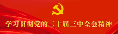 中宣部组织召开学习宣传贯彻党的二十届三中全会精神电视电话会议