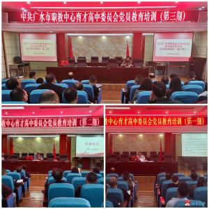 市职教中心育才高中开展党员教育工作培训