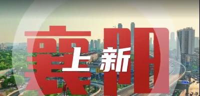 襄阳，上新！