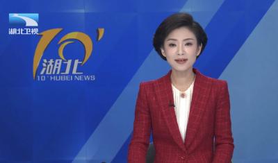 长江评论：加快支点建设 聚力！给力！发力！