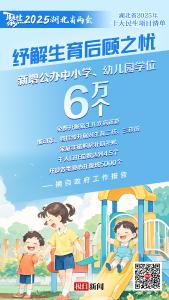 2025年，湖北“头等大事”定了！