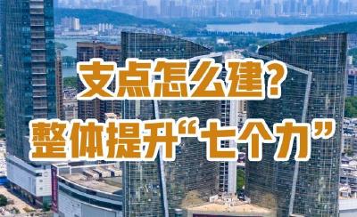 支点怎么建？整体提升“七个力”