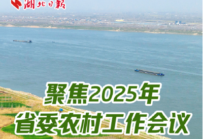 聚焦2025年湖北省委农村工作会议