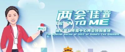 两会佳音丨来吧！湖北与大湾区“双向奔赴”