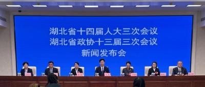 湖北如何加快建成支点，代表委员来支招