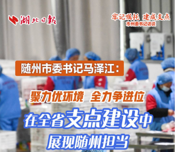 随州市委书记马泽江：聚力优环境 全力争进位 在全省支点建设中展现随州担当