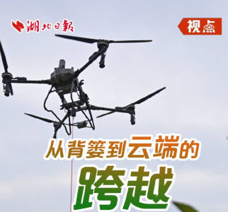 视点丨从背篓到云端的跨越