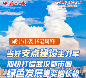 咸宁市委书记周锋：当好支点建设生力军 加快打造武汉都市圈绿色发展重要增长极