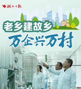 老乡建故乡 万企兴万村