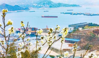 400余份建议守护一江清水东流