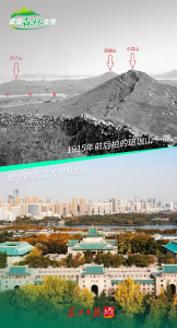 从一锹土到万亩林！“武汉森林大学”这样种出来