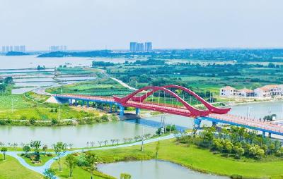 治水兴林，美丽湖北这样干
