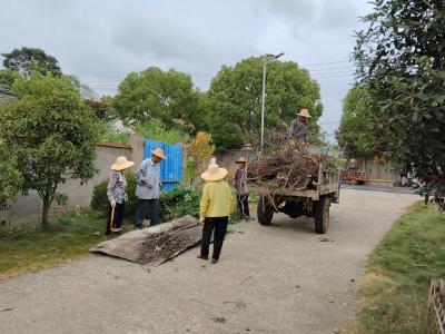 战酷暑  美家园 城南社区清洁行动热潮涌动