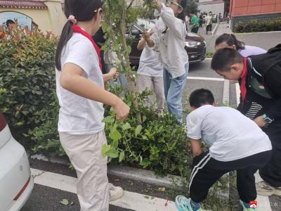 十里中心小学六年级学生开展“拔草护绿美校园”劳动实践活动