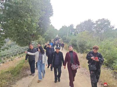 岁月情长  重阳共暖——长岭镇开展  2025年重阳节主题活动