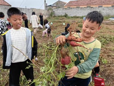烟火暖校园 健康伴成长——广办三小驼子校区开展“挖红薯·炸红薯饼”实践活动